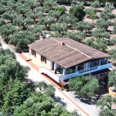 Rustico Degli Ulivi Apartment Orosei Exterior photo